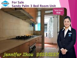 Sandy Palm (D17), Condominium #135882372